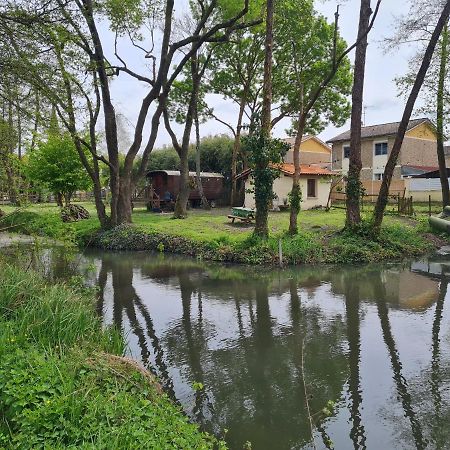 Roulotte D'Aquitaine Panzió Saint-Sulpice-de-Faleyrens Kültér fotó